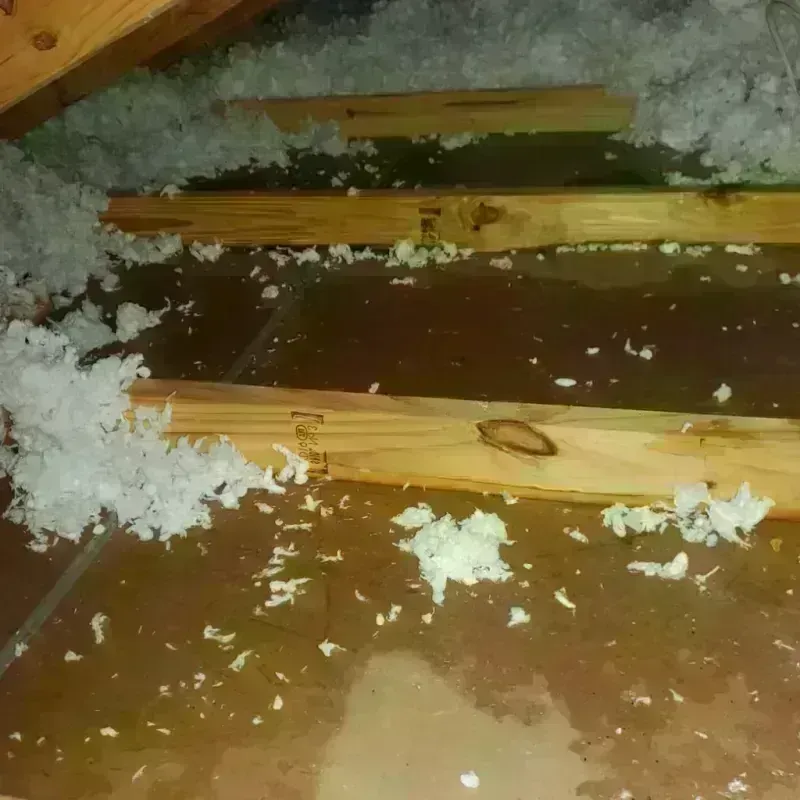 Attic Water Damage in Due West, SC